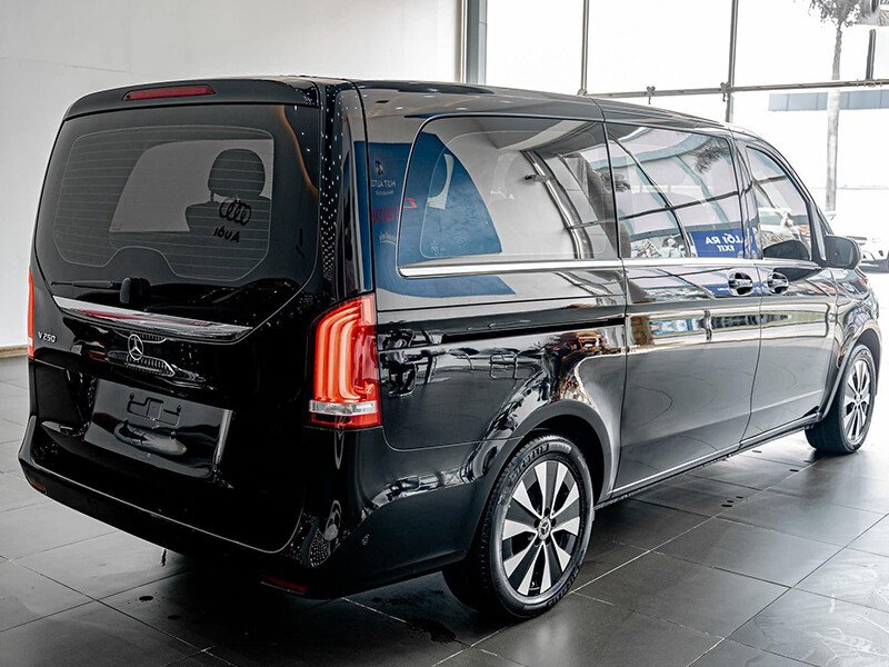 Mercedes-Benz V300 Luxury - Ảnh 5
