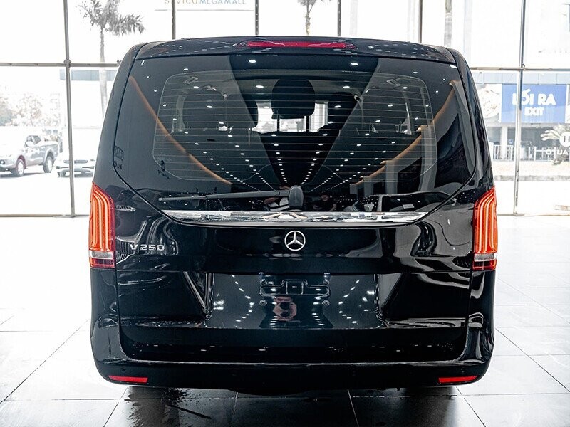 Mercedes-Benz V300 Luxury - Ảnh 6